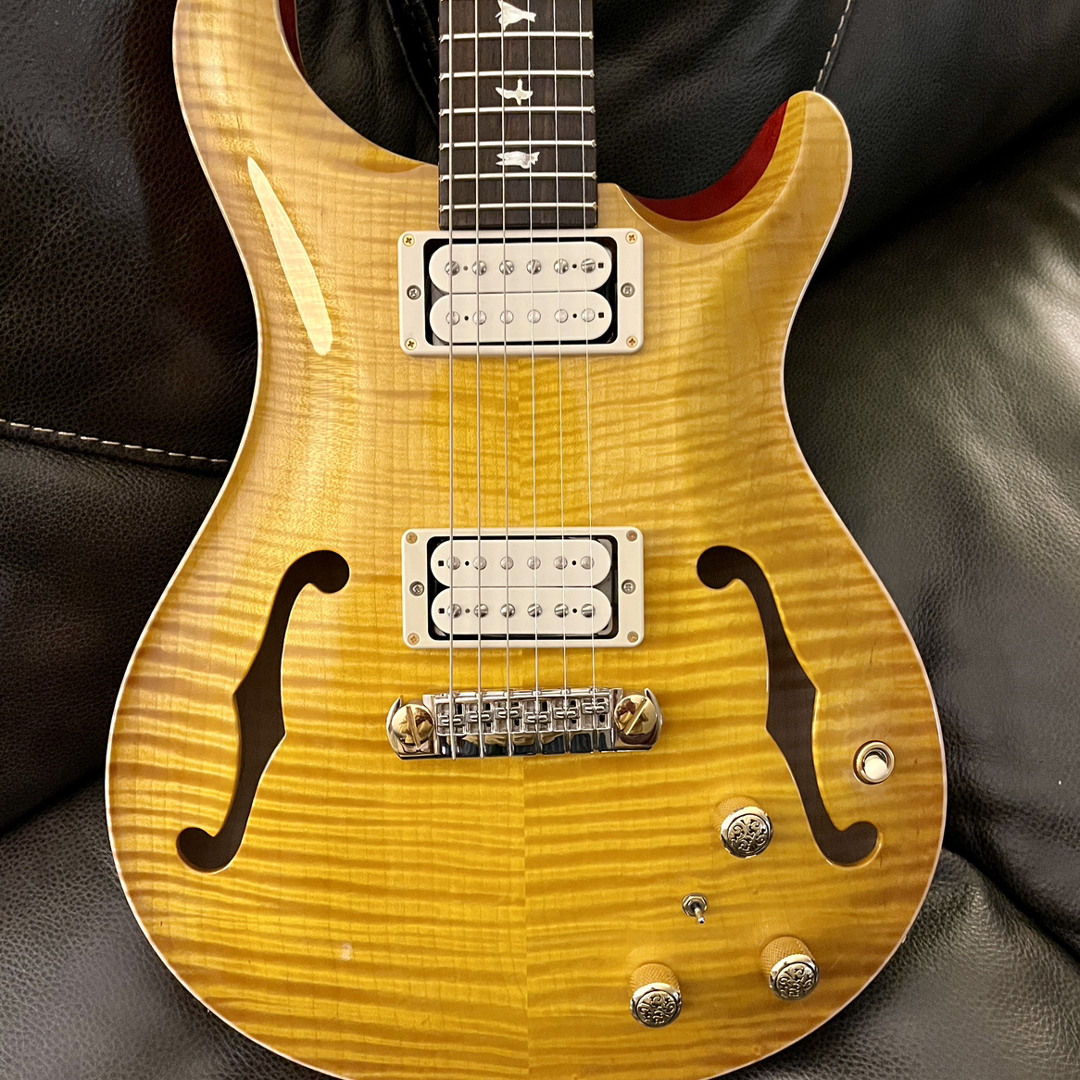 Fralin Pure PAFs in PRS HBII/Piezo