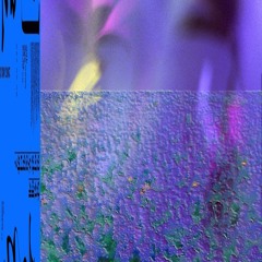 EXP.2 - Polarity