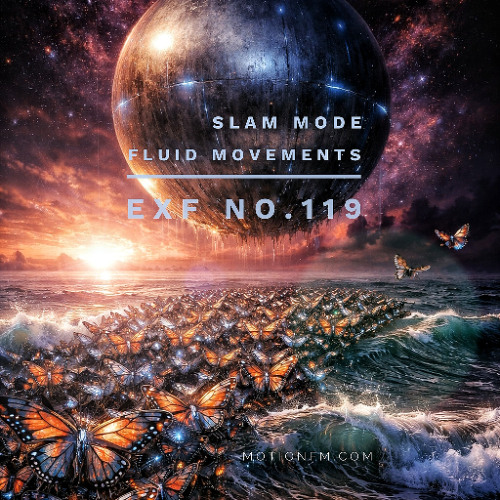 EXFNo119 fluid movements