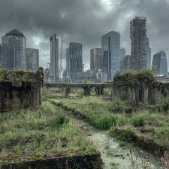 Beauty in the ruins VI