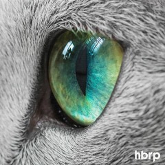 Glimpse of Us (hbrp Edit)