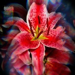 NEVER SHOWED UP (PROD. WOODPECKER)