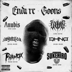 ENDVRE x GOONS