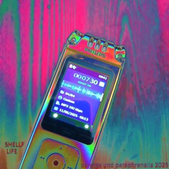 SHELLF LIFE parerga and paraphrenalia 2025  - announcing the upcoming release of STRANGELOVE'S BRAIN