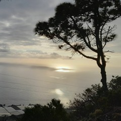 Bright Sea