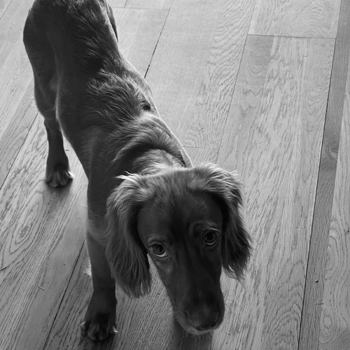 The Mythology - Hydra - The Standard Hotel London