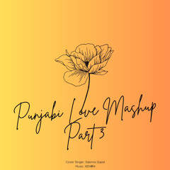 Punjabi Love Mashup (Part 3) | Sabrina K Sapal | Prod. by XENΦN