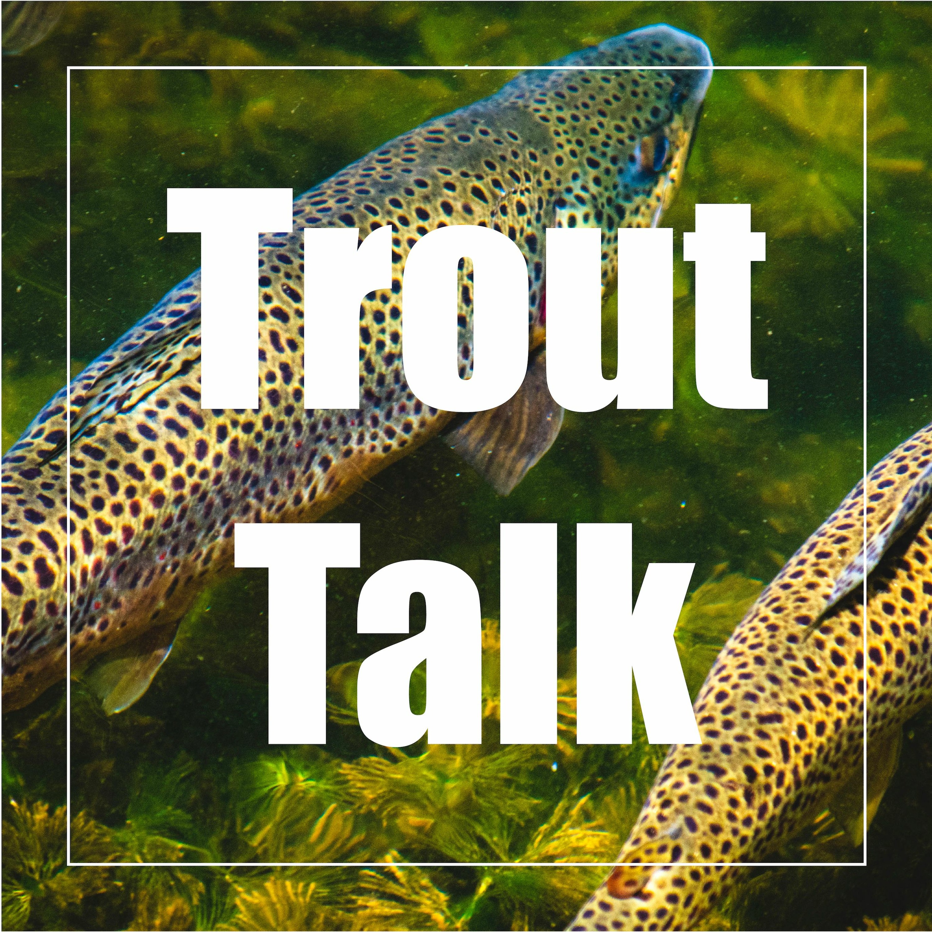 Episode Two - Choosing where to fish