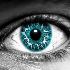 Vision - Stephan Lipinski / Jamie Rhind