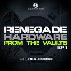Raiden - Fallin (Dushi Remix)