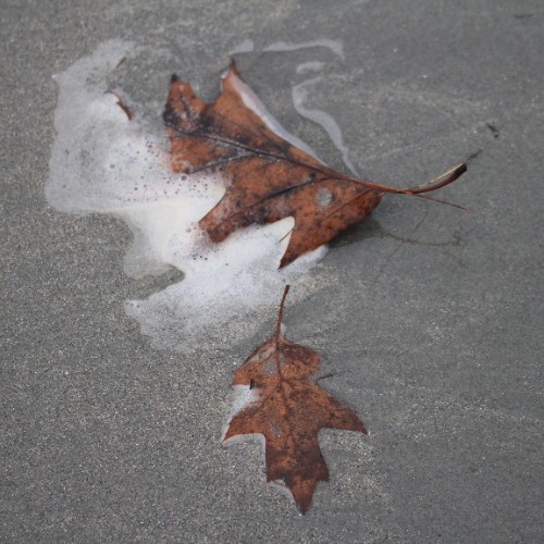 What's NEW .with strings