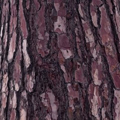 whats real prod me and sxnt