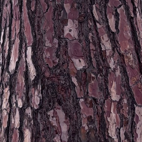 whats real prod me and sxnt