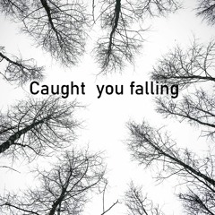 Caught You Falling