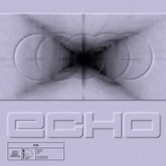 FROSTTOP - ECHO (LEEMOO REMIX) (VIP)