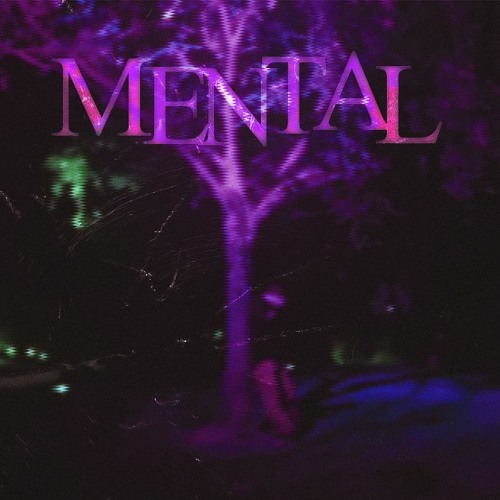mental (prod. mimo x durbas x andrei)(MUSIC VID LINK IN BIO)