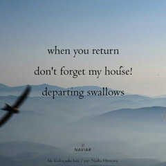 Departing Swallows - (naviarhaiku - 633)
