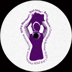 Ricky Montanari, Discoplex - Block My Deejay (Extended Mix)