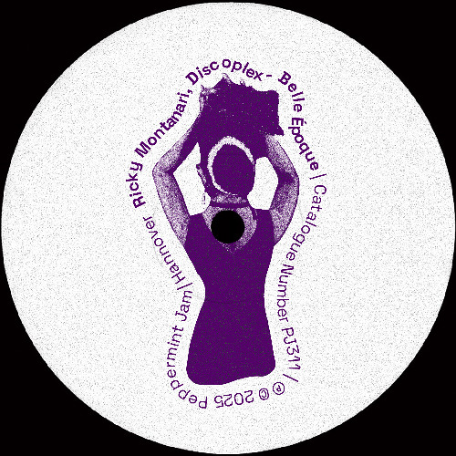 Ricky Montanari, Discoplex - Block My Deejay (Extended Mix)