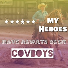 My Heroes Have always been covboys ( willie Nelson cover)
