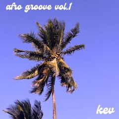 Afro groove sessions vol. 1