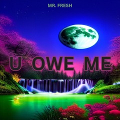 u_owe_me_remix