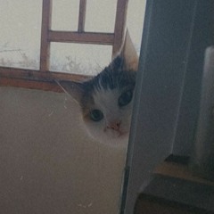 Жанулька - заклятый враг (ковер)