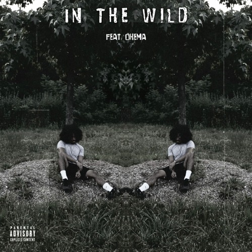 In The Wild (feat. Ohema) (Prod. Wavy SZN & prod. crater)