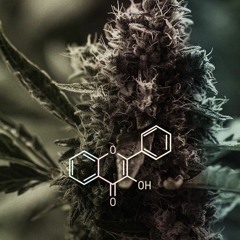 FÜSTÖS - CSAK A CHILL