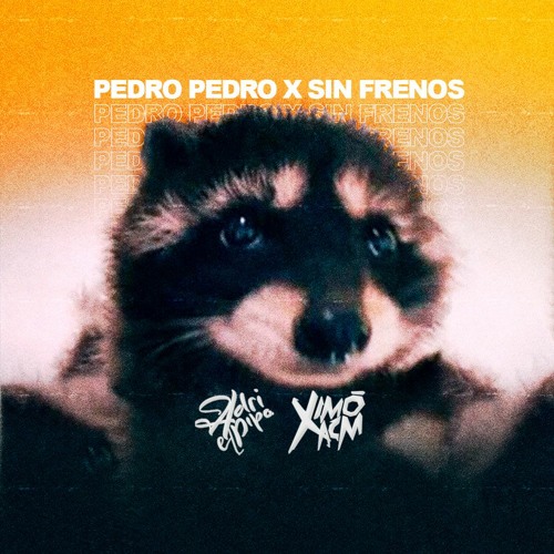 Pedro Pedro X Sin Frenos (Adri El Pipo & Ximoxacm Mashup)