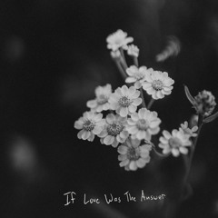 If Love Was the Answer