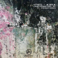 PREMIERE -  Quail & AISHA - Leatherbound (Felicie Remix) Soma Records