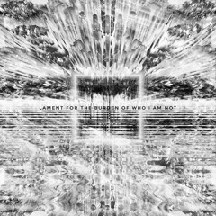lament for the burden of who I am not