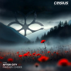 After City - Choice