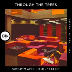 Ty : Through The Trees - 21.04.24