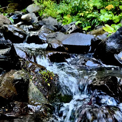 Calm at the river - 396Hz