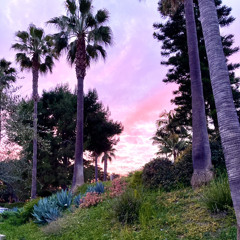 The Carlsbad Rag