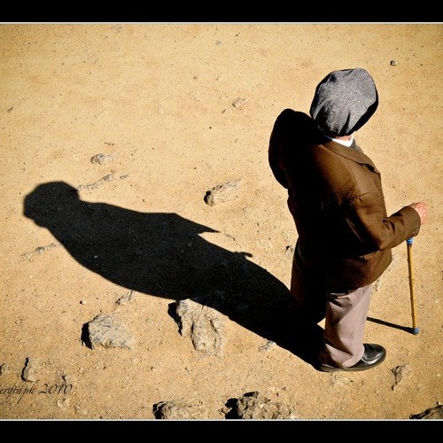 Old Man In The Shadow (Seagull, David)