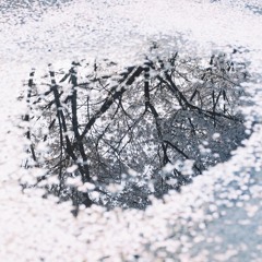 nlart