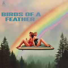 Strummit - Birds Of A Feather (Electric Guitar Cover)