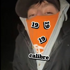 19 Calibre