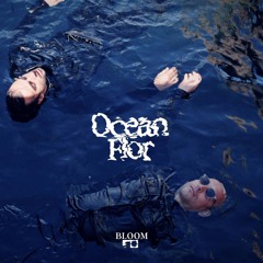Ocean Flor - Bloom