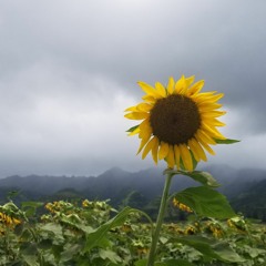 Talking To The Moon - Kream (cover) 2017