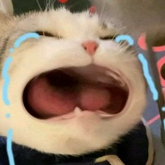 Hôm nay buồn mụt chút thui mai vui lạiiiii (づ￣ 3￣)づ [Playlist sped up]