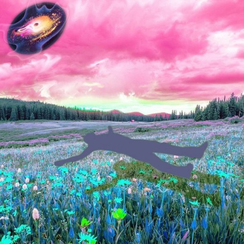 Tripping In Paradise