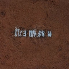tiramissu