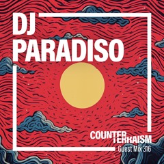 Counterterraism Guest Mix 316: DJ Paradiso