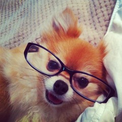 makk10 (prod makkgin)