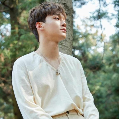 Stream CHEN (첸) Good Night (잘 자요) by EXO-L | Listen online for free on ...
