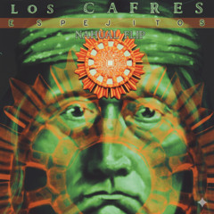 cafres hormiga - nahual flip